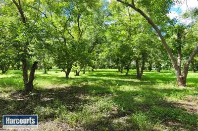 Main view of Homely house listing, 21 Woking Street, Mitchelton QLD 4053