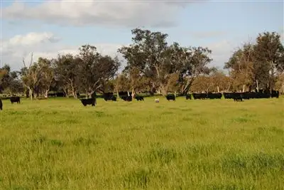 Sixth view of Homely rural property listing, 578 Coonabidgee Road, Gingin WA 6503