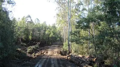 Third view of Homely rural property listing, 47.6ha Hodgetts Road, Rosevale TAS 7292