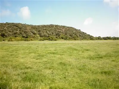 Main view of Homely rural property listing, 1205 Old Coorong Road, Kingston Se SA 5275