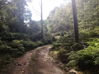 Sixth view of Homely rural property listing, 540 Davis Gully Road, Four Mile Creek TAS 7215