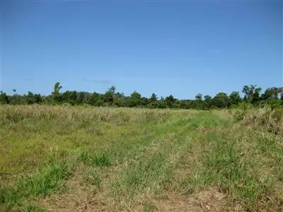 Main view of Homely rural property listing, Address available on request