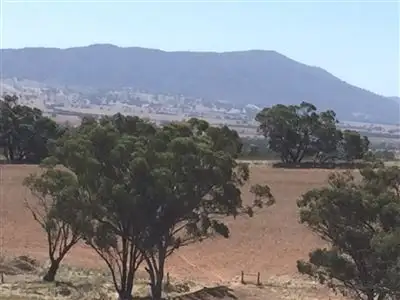 Sixth view of Homely rural property listing, Section174 Black Swamp Road, Murray Town SA 5481