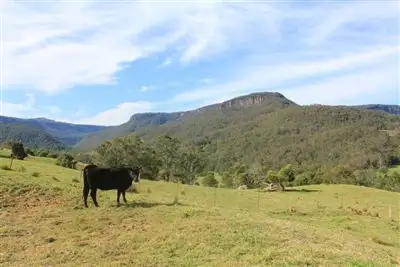 Third view of Homely land listing, 977C Upper Kangaroo River Road, Kangaroo Valley NSW 2577