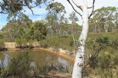 Second view of Homely rural property listing, 979 Bombay Road, Braidwood NSW 2622