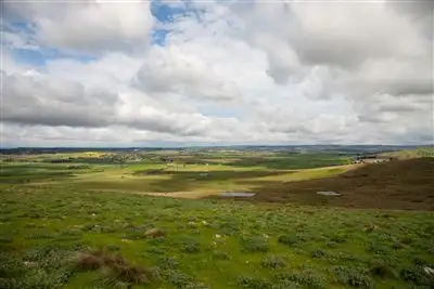 Seventh view of Homely rural property listing, 257 Pomeroy Road, Goulburn NSW 2580