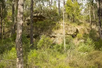 Fourth view of Homely land listing, 572 Esperance Coast Road, Police Point TAS 7116