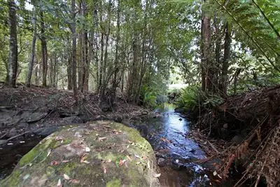 Third view of Homely house listing, 384 Bakers Creek Road, Lucaston TAS 7109