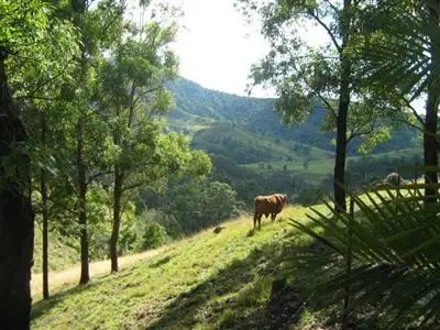 2310 Running Creek Road, Running Creek QLD 4287