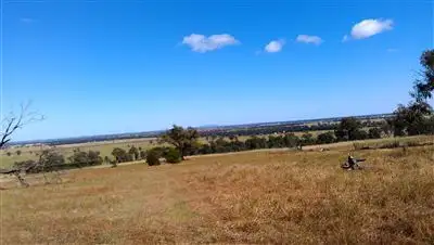 Seventh view of Homely rural property listing, 3 Vincents Road, The Rock NSW 2655