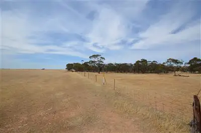 Seventh view of Homely rural property listing, 13301 Mallee Highway, Pinnaroo SA 5304