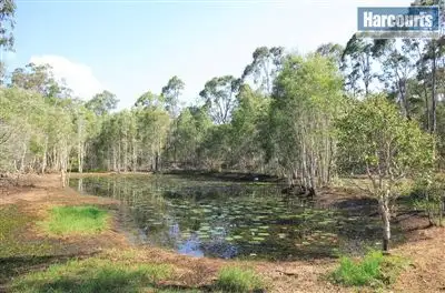 Third view of Homely house listing, 1727 Torbanlea Pialba Road, Takura QLD 4655