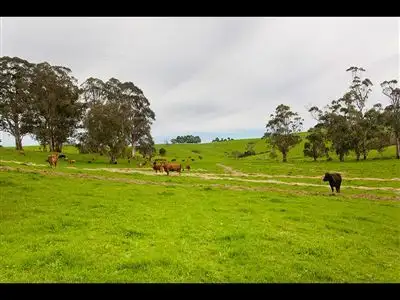 Sixth view of Homely rural property listing, 195 Sheffield Road, Neerim South VIC 3831