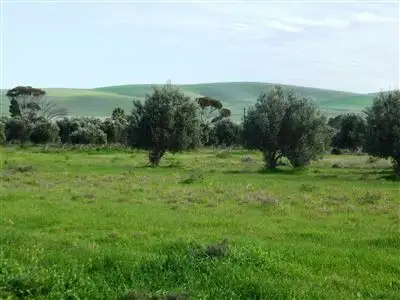 Fourth view of Homely rural property listing, Sec 10 Lower Templeton Road, Whitwarta SA 5461
