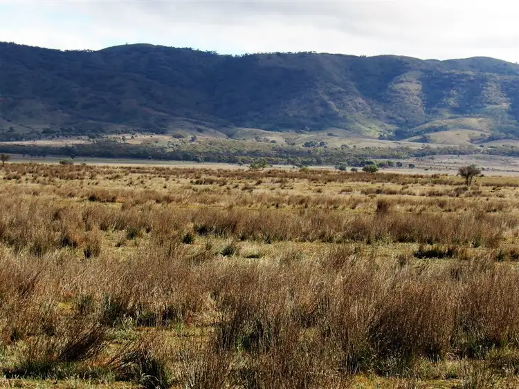 Fifth view of Homely rural property listing, 1225 Johnburg Road, Orroroo SA 5431