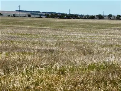 Second view of Homely rural property listing, 1615 Lake View Road, Brinkworth SA 5464