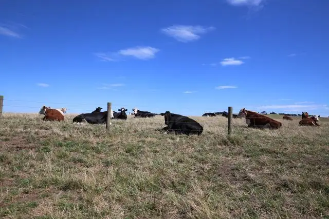 Fifth view of Homely rural property listing, 76 Rees Road, Jumbunna VIC 3951
