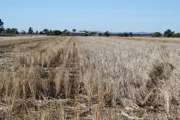 Sixth view of Homely rural property listing, 4978 Mitchell Highway, Narromine NSW 2821