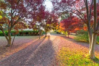 Main view of Homely house listing, 89 Tolson Street, Teesdale VIC 3328