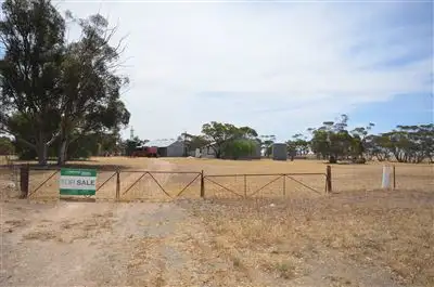 Second view of Homely rural property listing, 13301 Mallee Highway, Pinnaroo SA 5304