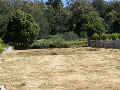 Main view of Homely land listing, 17 Renison Street, Derby TAS 7264
