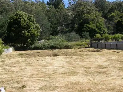 Main view of Homely land listing, 17 Renison Street, Derby TAS 7264