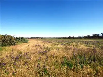 252 Distillery, Monash SA 5342