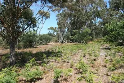 Fifth view of Homely land listing, 4 Seabreeze Court, Beaumaris TAS 7215