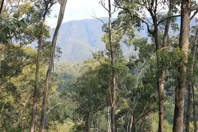 Main view of Homely rural property listing, 4650 Araluen Road, Araluen NSW 2622