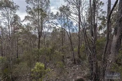 Fifth view of Homely land listing, RA She Oak Road, Judbury TAS 7109