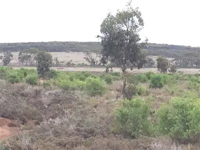 Sixth view of Homely land listing, L409 Jamieson Street, Ravensthorpe WA 6346