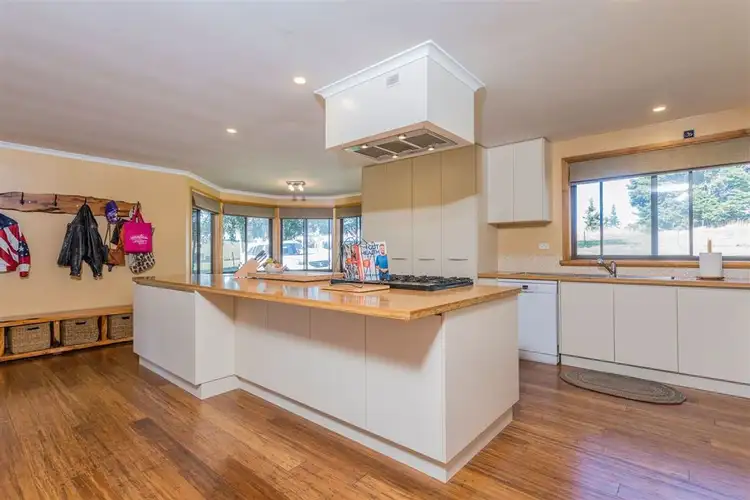 Third view of Homely rural property listing, 356 Briggs Road, Scottsdale TAS 7260