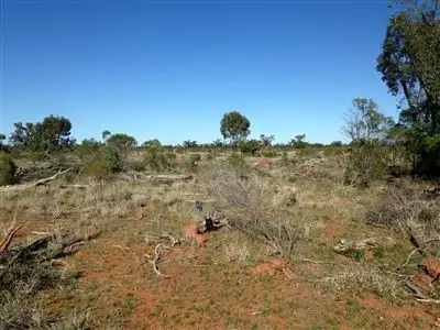Sixth view of Homely rural property listing, " Nidgery Downs", Nyngan NSW 2825