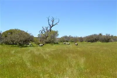 Third view of Homely house listing, 462 Coonabidgee Rd, Coonabidgee WA 6503