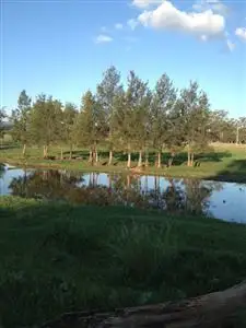 Fourth view of Homely rural property listing, . Yarrandi Rd, "Melness", Scone NSW 2337