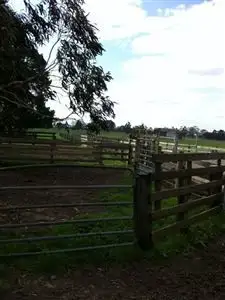 Second view of Homely rural property listing, 33 Old Flynn Road, Flynn VIC 3844
