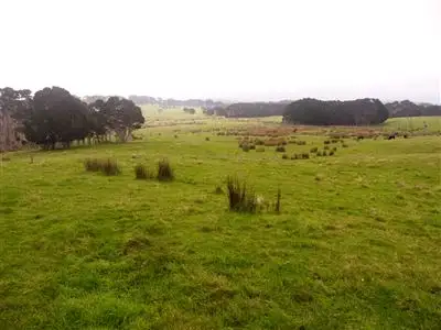 Main view of Homely rural property listing, 86 Mount Stanley Loop Road, King Island TAS 7256