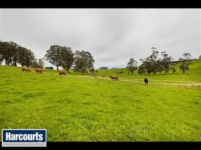 Second view of Homely rural property listing, 195 Sheffield Road, Neerim South VIC 3831