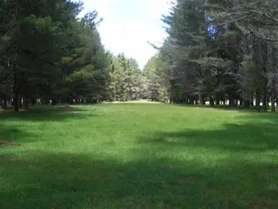 Main view of Homely rural property listing, 1417 Shannon Vale Road, Glen Innes NSW 2370