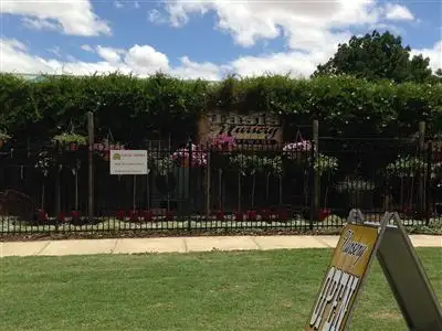 Third view of Homely house listing, 91 Homburg Terrace, Pinnaroo SA 5304