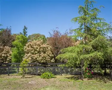 Third view of Homely rural property listing, 34 Saxon Street, Euroa VIC 3666