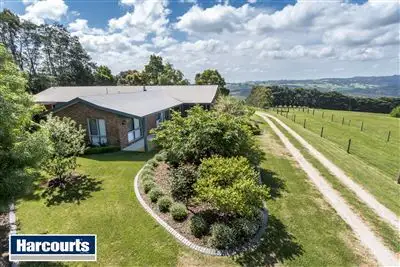 Main view of Homely rural property listing, 25 McIntosh Road, Strzelecki VIC 3950