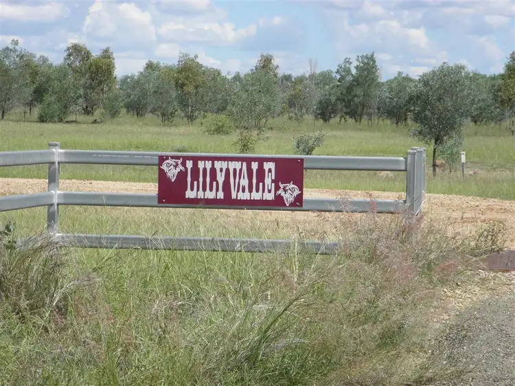 Third view of Homely rural property listing, " Lilyvale", Dingo QLD 4702