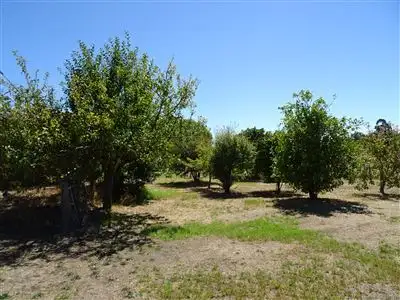 Fifth view of Homely rural property listing, 23 Kurandra Road, Manjimup WA 6258