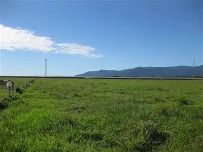 Fifth view of Homely rural property listing, 0 France Road, Edmonton QLD 4869