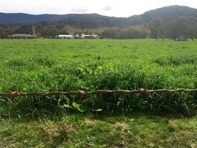 Third view of Homely rural property listing, "Echo"/1465 Ten Mile Road, Deepwater NSW 2371