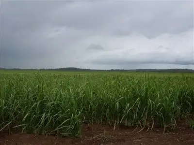 . Available on Request, Proserpine QLD 4800