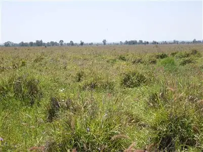 Second view of Homely rural property listing, . "Taroom Waterhole Paddocks", Taroom QLD 4420