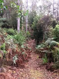 Fourth view of Homely land listing, 73 Holders Road, Patersonia TAS 7259