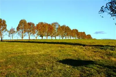Sixth view of Homely rural property listing, 573 & 749 Bendenine Road, Binalong NSW 2584